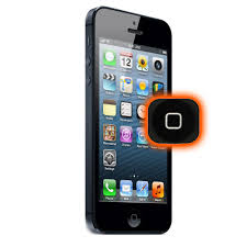 iPhone 5 Backpanel Repair